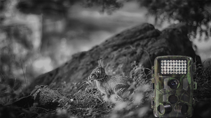 outdoor wildlife trail camera