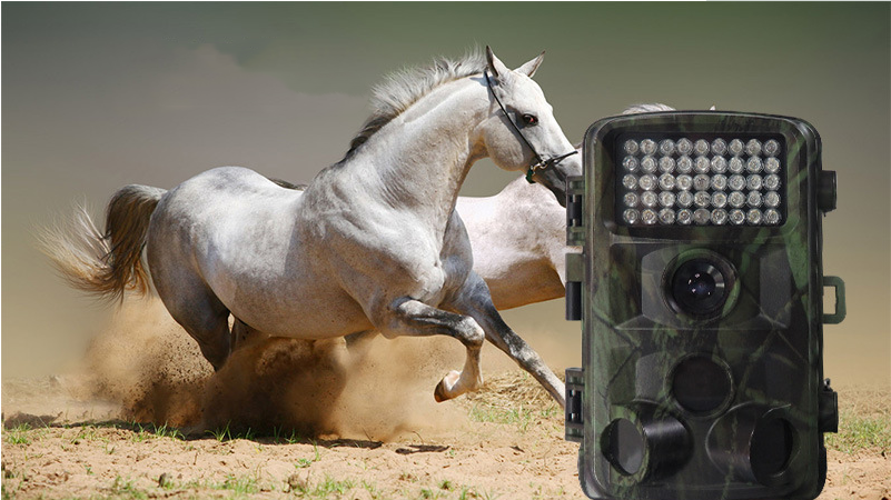 outdoor wildlife trail camera